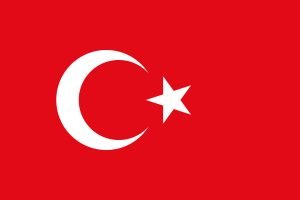 Turecki wydawca zatrzymany - szepty z sieci