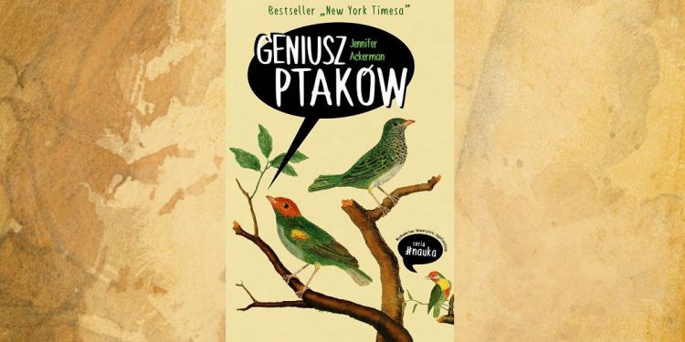 Geniusz ptaków - kup na TaniaKsiazka.pl