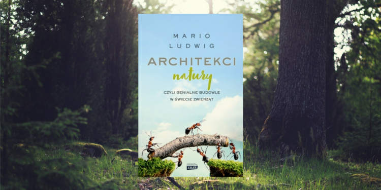 rchitekci natury Mario Ludwig