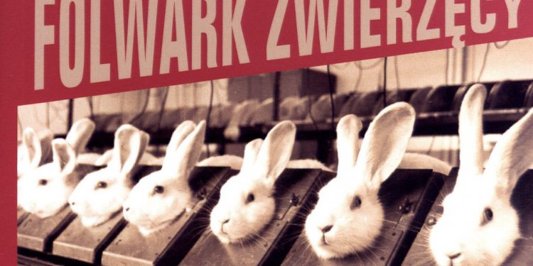 Folwark zwierzęcy - zobacz na TaniaKsiazka.pl