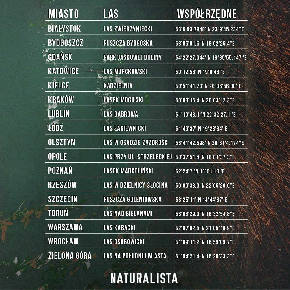 Naturalista, Marcin Dorociński i 16 ukrytych książek. Naturalista w TaniaKsiazka.pl Naturalista, Marcin Dorociński i 16 ukrytych książek. Naturalista w TaniaKsiazka.pl