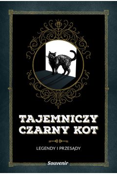 Recenzja książki Tajemniczy czarny kot. Kupisz ją w TaniaKsiazka.pl