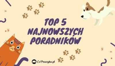 Psy i koty – poradniki, sprawdź na TaniaKsiazka.pl