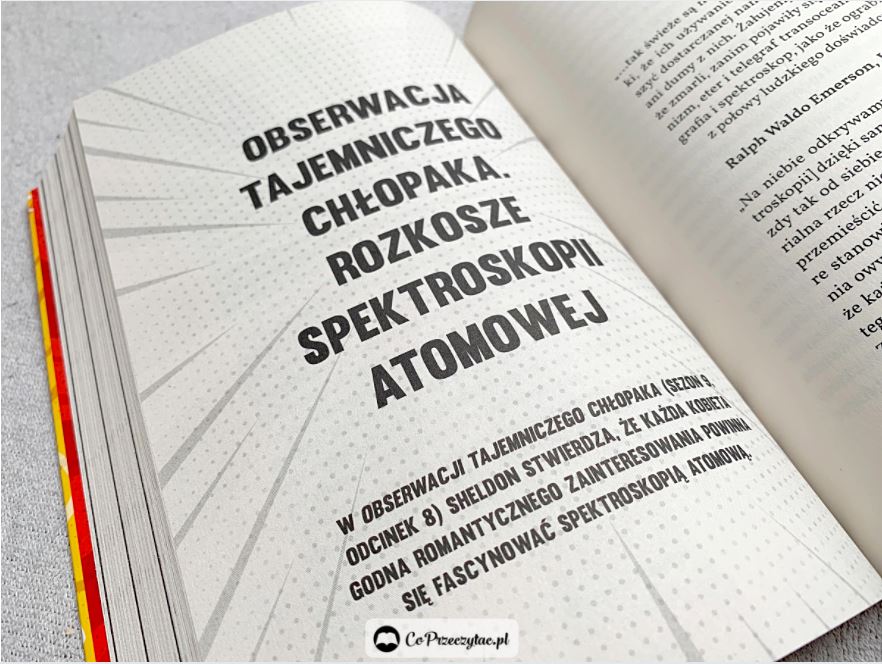 Teoria Teorii Wielkiego Podrywu – książki szukaj na TaniaKsiazka.pl