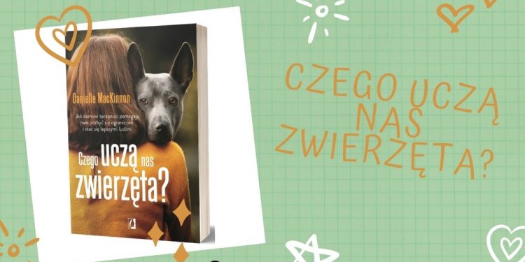Czego uczą nas zwierzęta - kup na TaniaKsiazka.pl