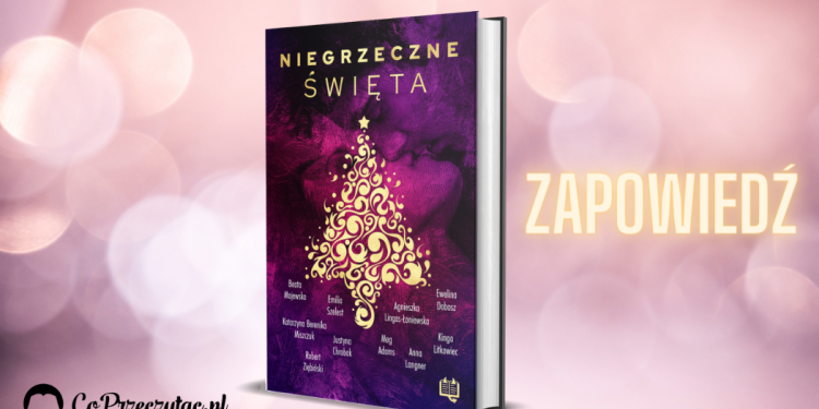 Niegrzeczne święta: opowiadania rozgrzewające! Zapowiedź