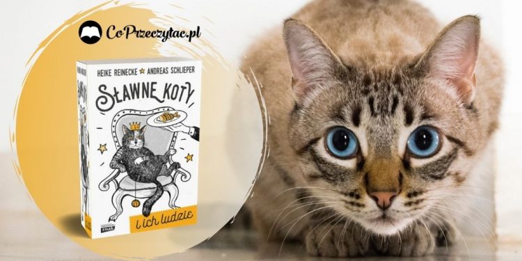Sławne koty i ich ludzie - zapowiedź książki Sławne koty i ich ludzie